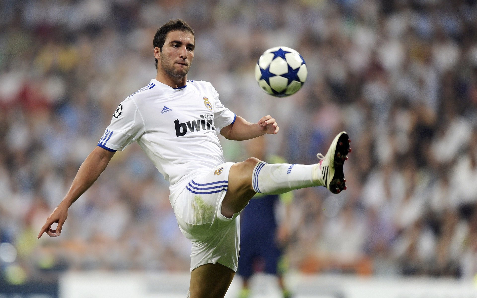 高尔在场上的灵活性与突破能力,成袋鼠队新进攻法宝